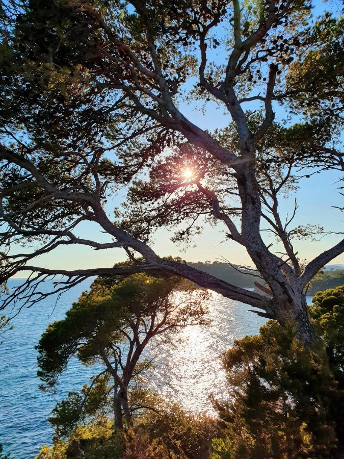 Darshan Zen Collobrières Eksteriør bilde